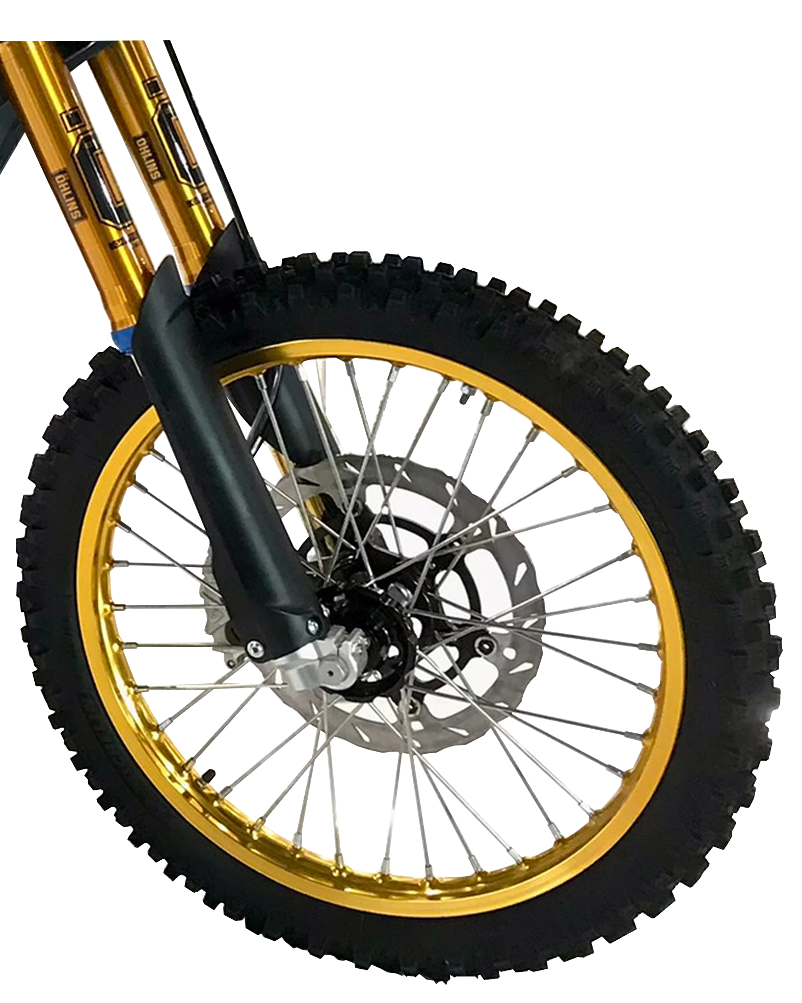 GOLD_ED_Roda